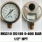 Pressure Gauge Nuova Fima